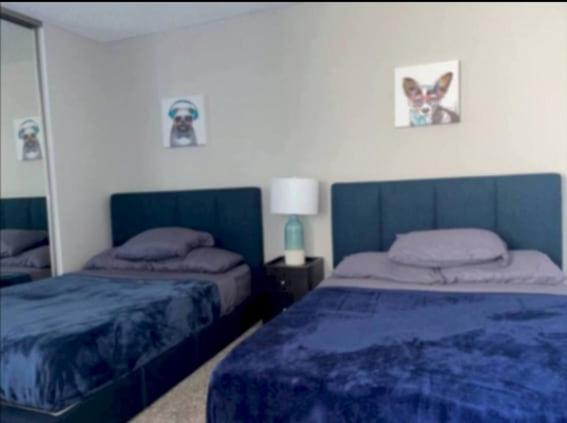 Snazzy 1bed With Rooftop Pool And Hollywood Sign View Apartment Los Angeles